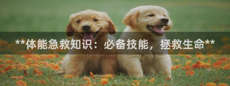 极悦平台官方网站入口网址：**体能急救知识：必备技能
