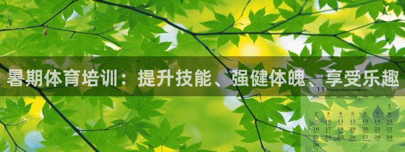 极悦注册：暑期体育培训：提升技能、强健体魄、享受乐趣