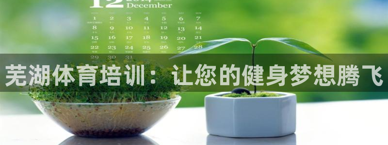 极悦平台注册官方网站下载安卓：芜湖体育培训：让您的健