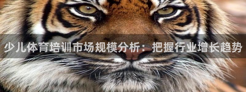 加盟极悦教育多少钱：少儿体育培训市场规模分析：把握行