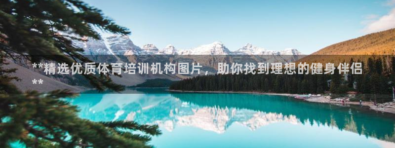 极悦平台官方网址是什么：**精选优质体育培训机构图片
