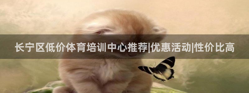 极悦平台登录最新版本更新内容：长宁区低价体育培训中心