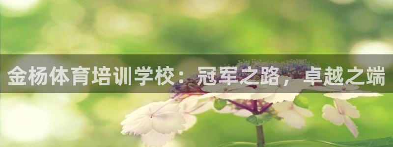 极悦平台注册登录入口在哪：金杨体育培训学校：冠军之路