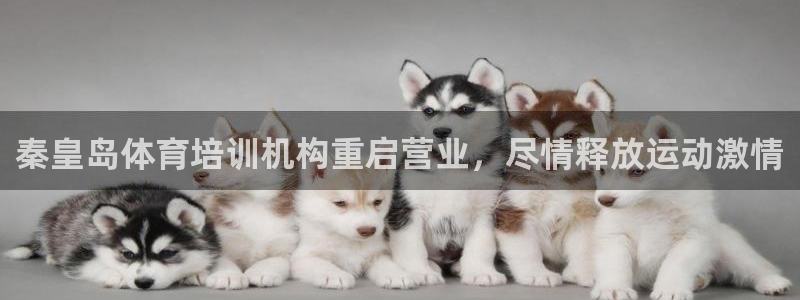 极悦平台app安全吗是真的吗：秦皇岛体育培训机构重启