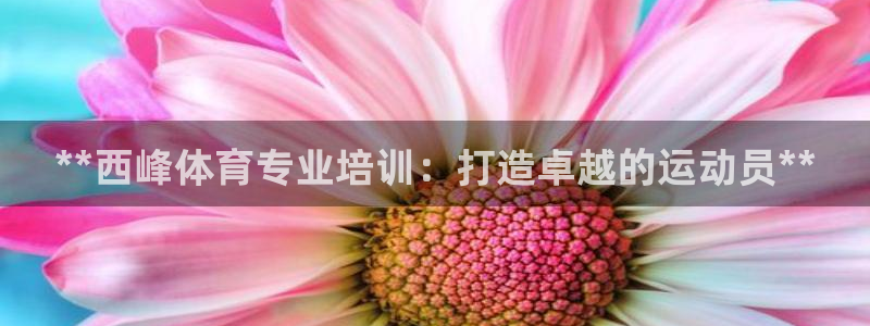 极悦平台和蓝狮平台区别在哪：**西峰体育专业培训：打