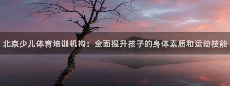 极悦平台的注册流程及注意事项是什么：北京少儿体育培训