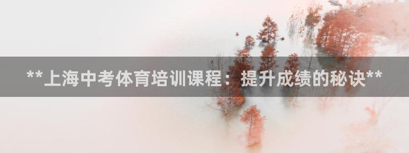 极悦娱乐的背景和历史背景是什么：**上海中考体育培训