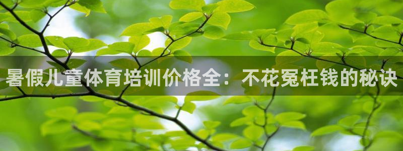 极悦平台注册申请流程详解：暑假儿童体育培训价格全：不