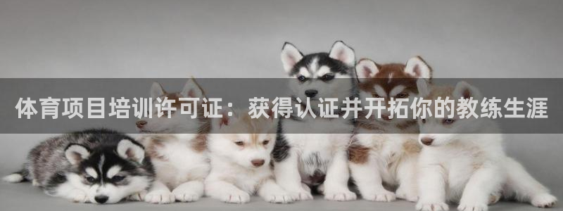 极悦娱乐官网app下载苹果版：体育项目培训许可证：获