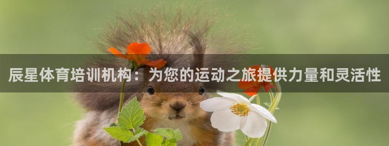 极悦平台注册官网下载：辰星体育培训机构：为您的运动之