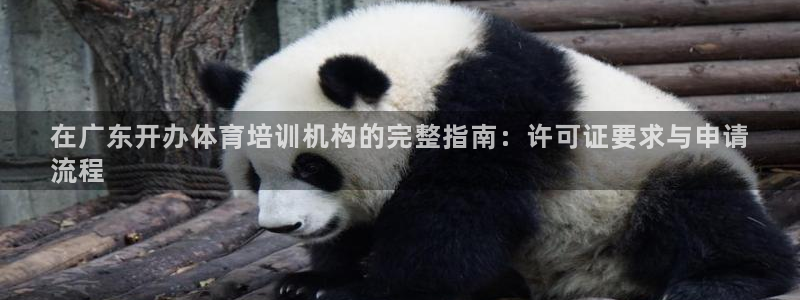 极悦平台官方网站入口链接：在广东开办体育培训机构的完