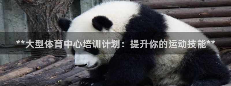 极悦娱乐贴吧官网：**大型体育中心培训计划：提升你的