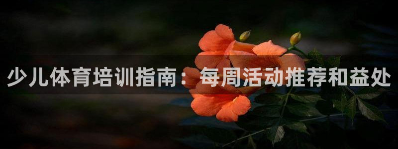 极悦平台是什么平台的：少儿体育培训指南：每周活动推荐