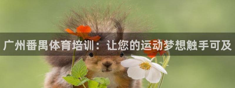 极悦平台官方网站登录入口：广州番禺体育培训：让您的运