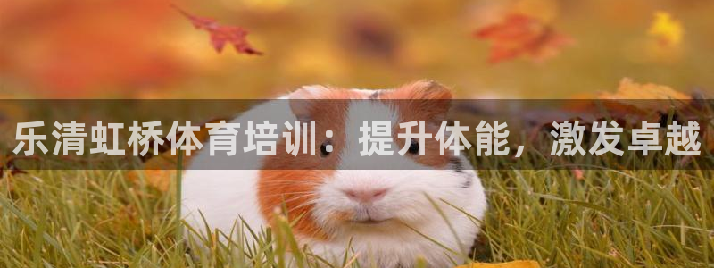 极悦平台注册流程图片：乐清虹桥体育培训：提升体能，激