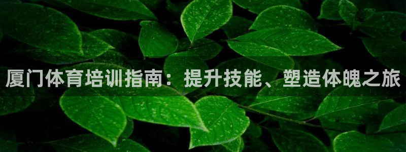 极悦娱乐负责人电话：厦门体育培训指南：提升技能、塑造