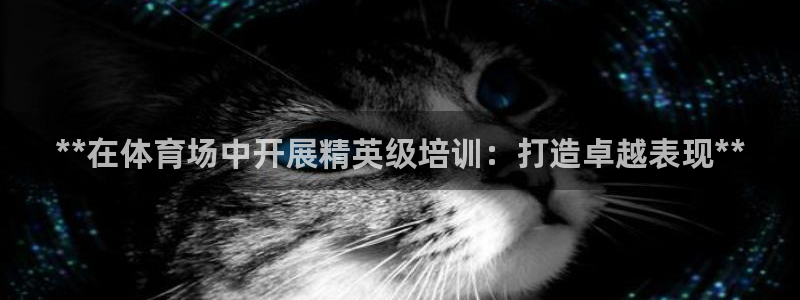 极悦娱乐登录拒绝访问怎么办啊：**在体育场中开展精英