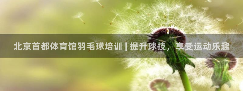 极悦娱乐代理人是谁啊：北京首都体育馆羽毛球培训 | 