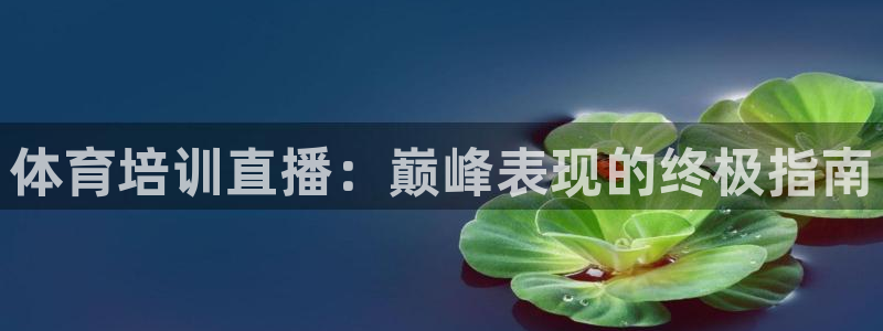 极悦娱乐代理多少钱一个月：体育培训直播：巅峰表现的终
