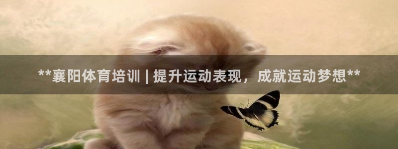 极悦娱乐的创始人背景故事介绍：**襄阳体育培训 | 