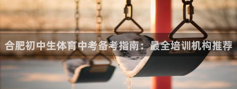 极悦平台官方网站首页登录：合肥初中生体育中考备考指南