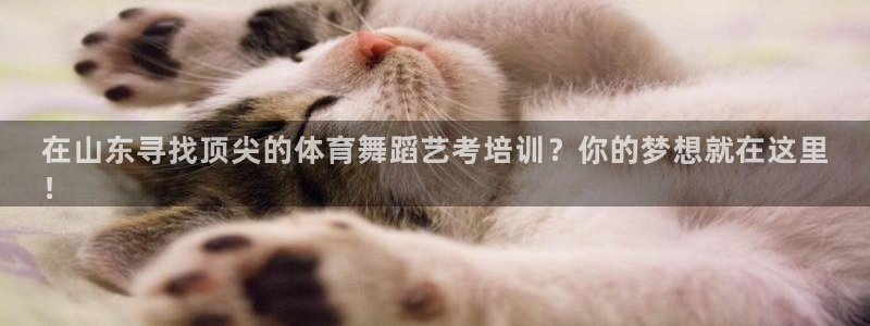 极悦平台注册登录失败：在山东寻找顶尖的体育舞蹈艺考培