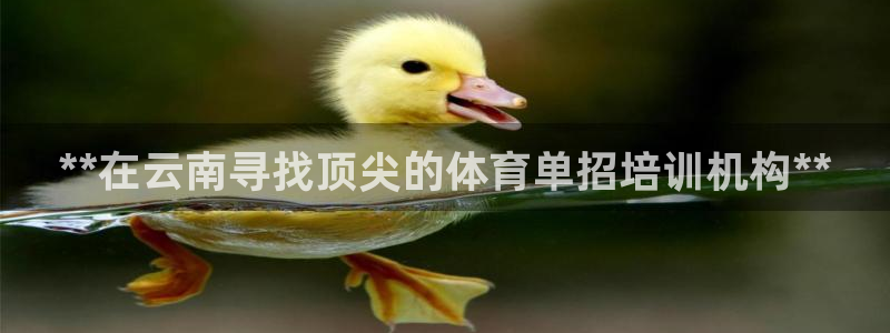 极悦娱乐官网最新版本更新内容是什么：**在云南寻找顶
