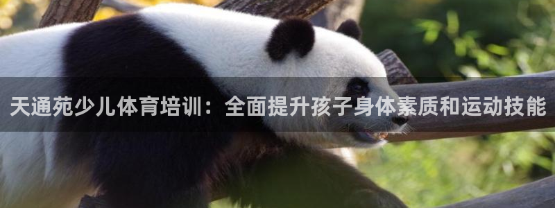极悦是什么牌子空调：天通苑少儿体育培训：全面提升孩子身体素质