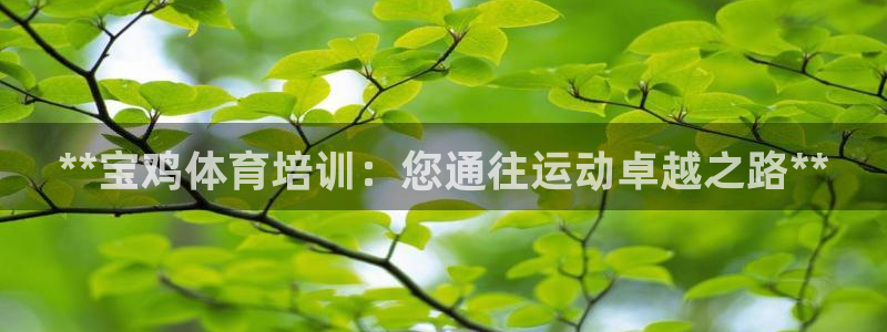 极悦平台的注册流程及注意事项有哪些：**宝鸡体育培训