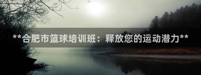 极悦平台注册申请流程详解图片：**合肥市篮球培训班：