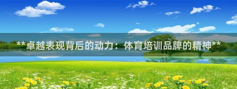 极悦平台注册用户名生成器是什么：**卓越表现背后的动