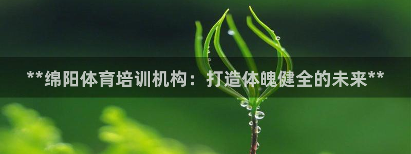 极悦平台用户评价与反馈在哪里：**绵阳体育培训机构：
