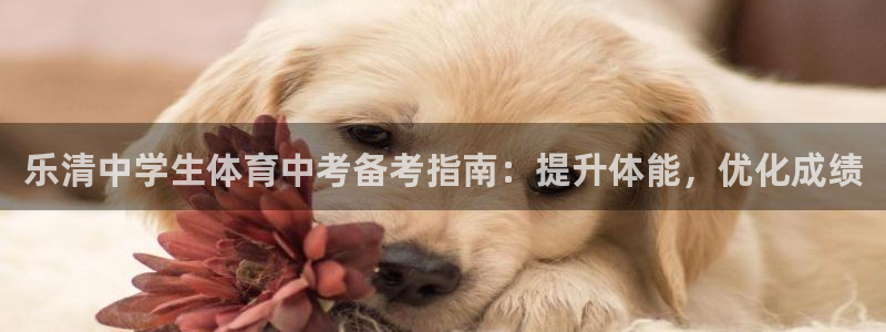 加盟极悦教育怎么样：乐清中学生体育中考备考指南：提升