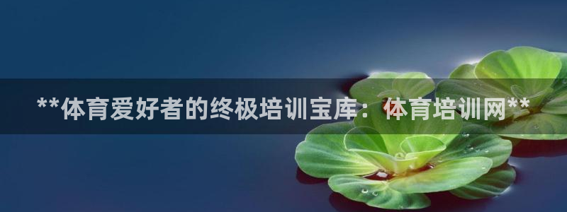 极悦平台代理怎么赚钱：**体育爱好者的终极培训宝库：