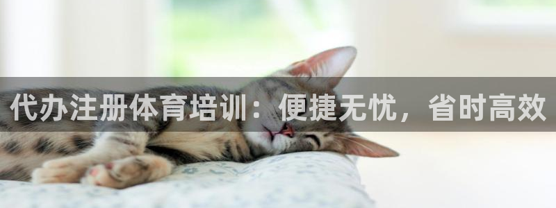 极悦平台注册官方网站下载安卓：代办注册体育培训：便捷