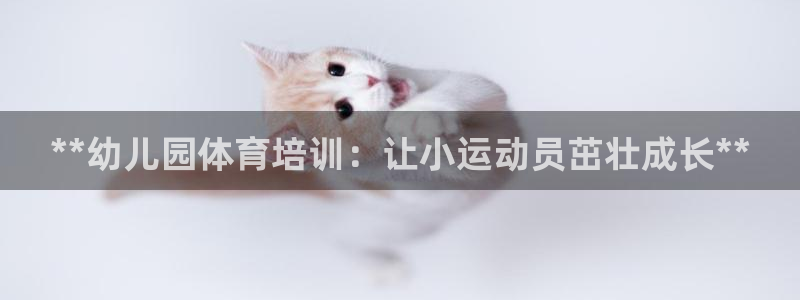 极悦官网登录：**幼儿园体育培训：让小运动员茁壮成长