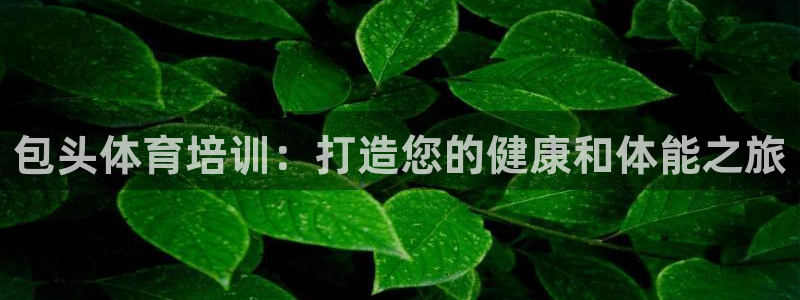 极悦娱乐下载官网：包头体育培训：打造您的健康和体能之
