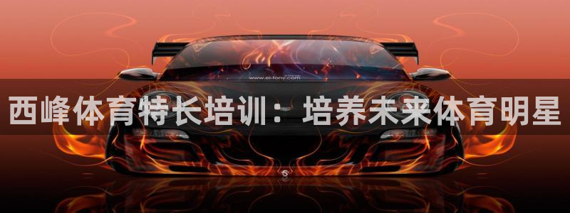 极悦官网下载最新版本更新内容：西峰体育特长培训：培养