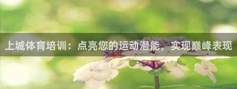 极悦娱乐最新版本更新内容介绍：上城体育培训：点亮您的