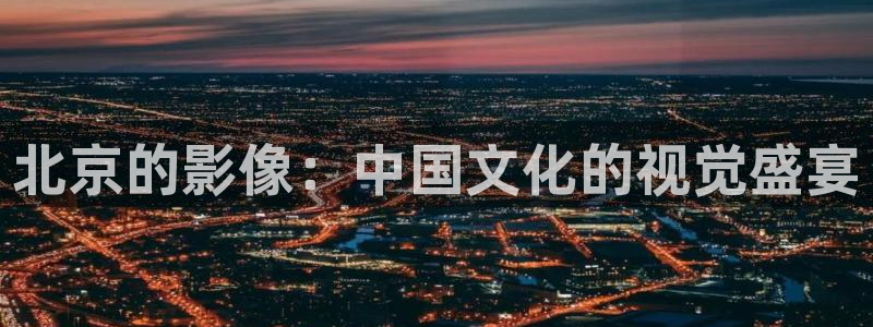 电影战地之狼