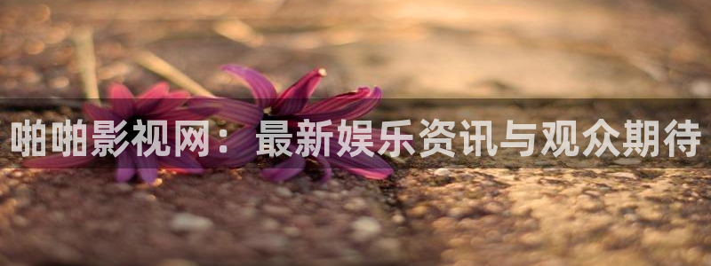 战地影视在线观看
